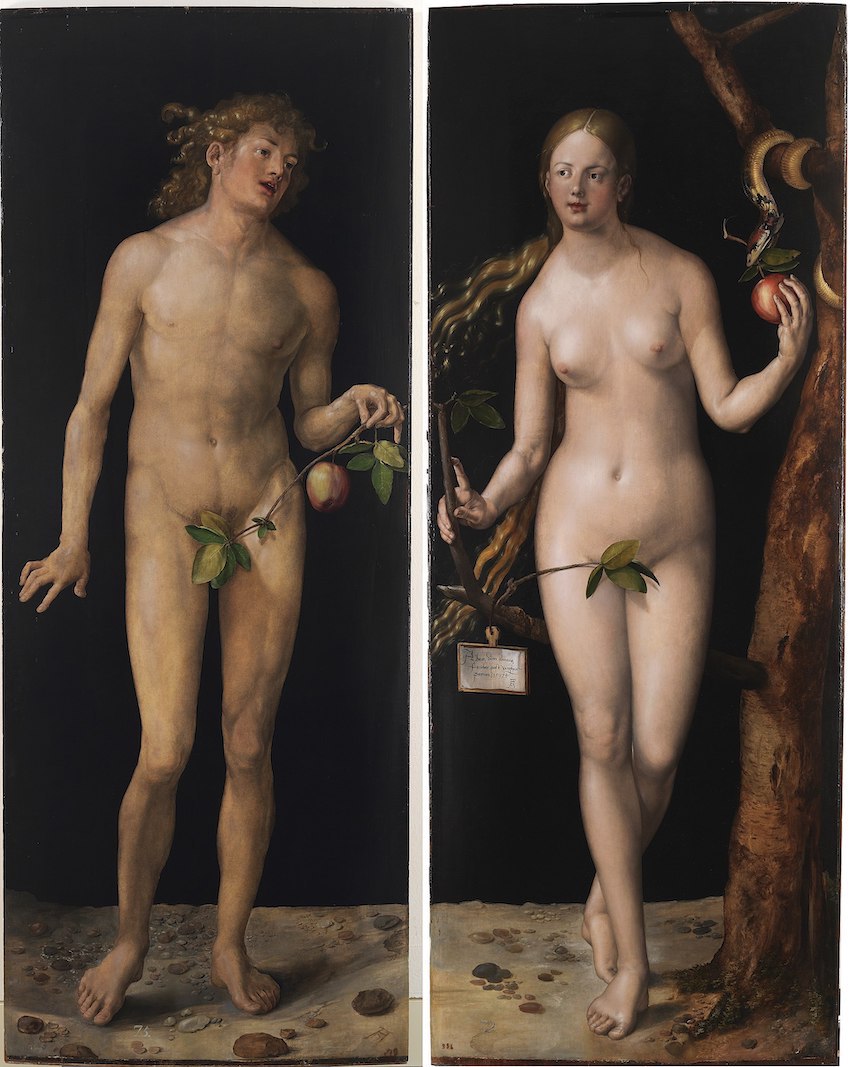 7 8 Albrecht Dürer Adam and Eve (Prado) 2